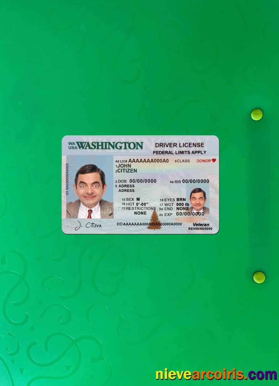 USA Washington driving license (2018 – present) photolook